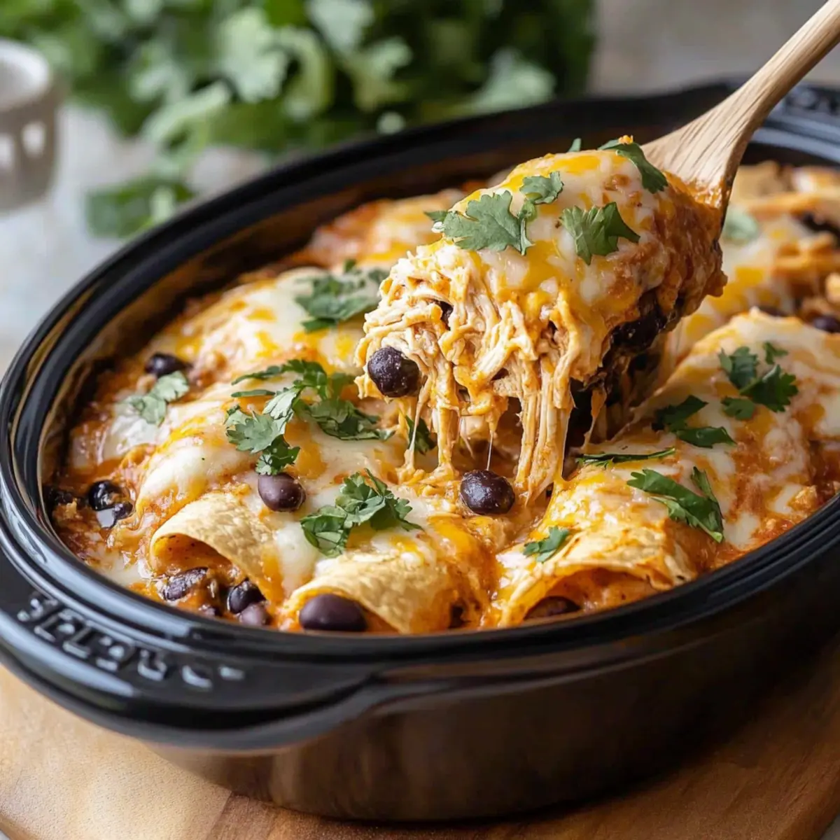 Hearty Chicken Enchilada in a Crockpot